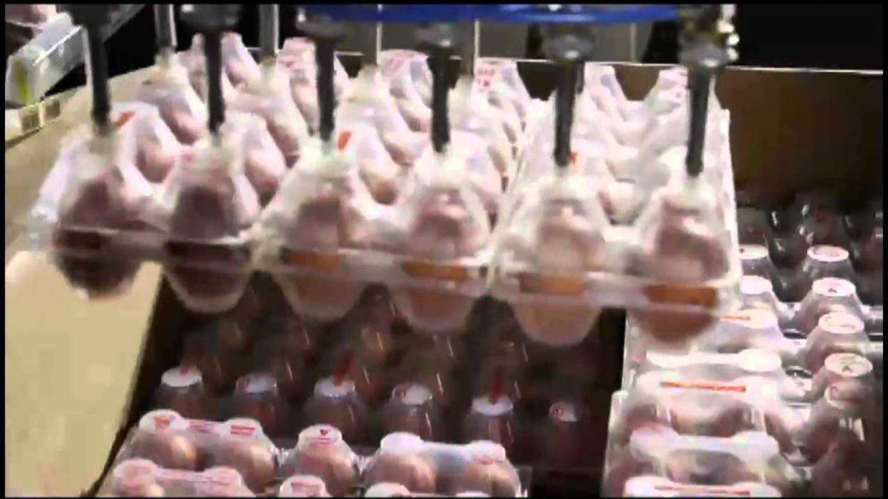 Universal Robots - EGGS packaging  Confezionamento uova Full HD