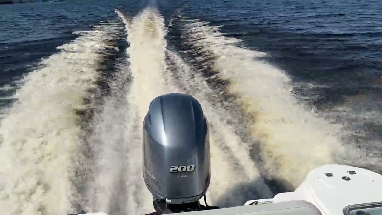 2023 Sea Fox 228 Sea Trial 2