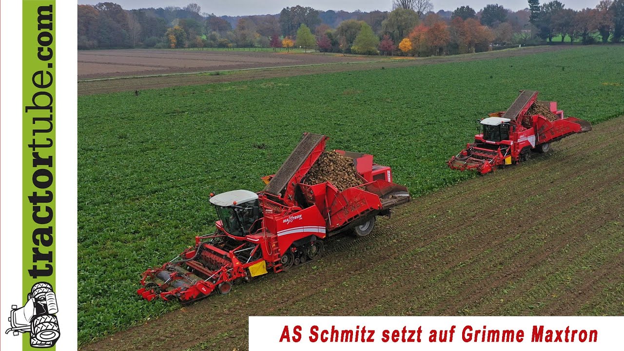 Rübenroden mit 2 Grimme Maxtron durch Agrarservice Schmitz aus Weeze