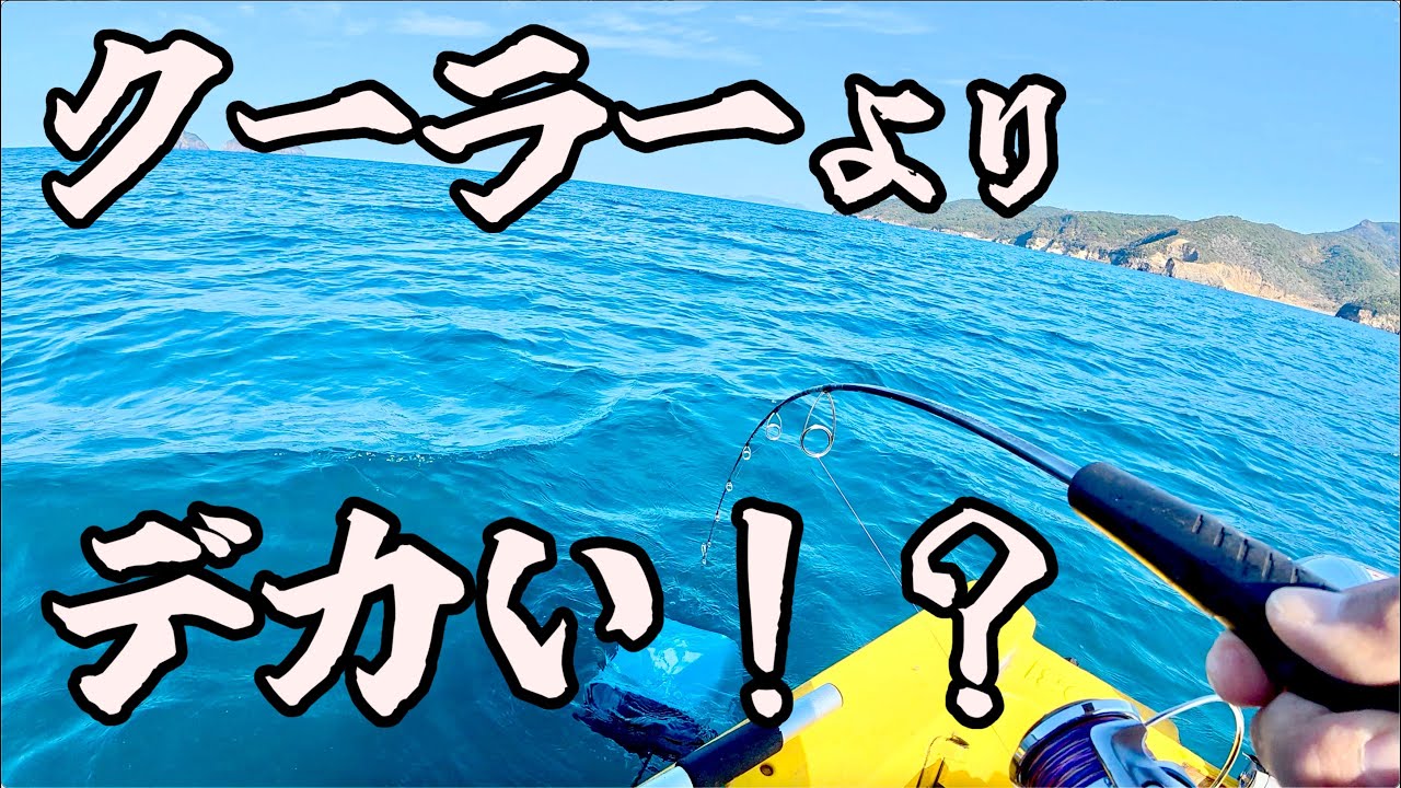 強烈な引き⁉︎ 2馬力ボートで岸から300m離れたら巨大魚だらけ！