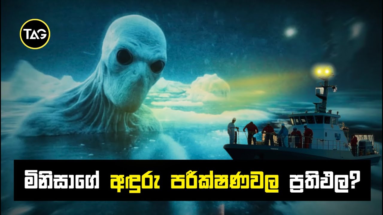 ඇන්ටාක්ටිකාවේ හිම අතර සැඟවුණු දරුණු රාක්ෂයින්ගෙ අභිරහස? | Monsters in Antarctica