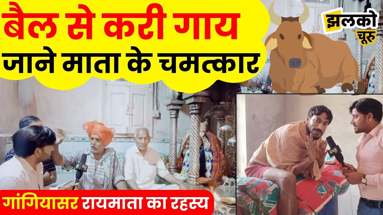 चूरू की इस माता के बैल से गाय के चमत्कार की कहानी~Jhalko Churu