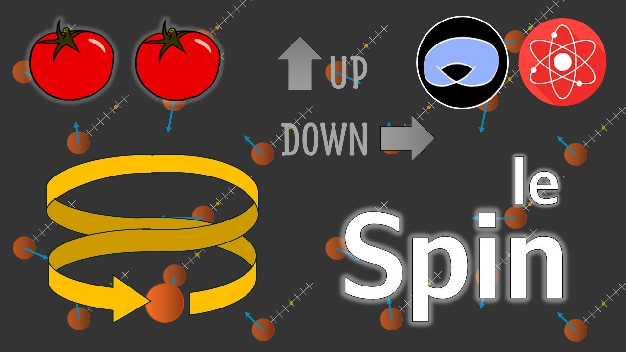 Le Spin (avec ScienceClic et Scientia Egregia)