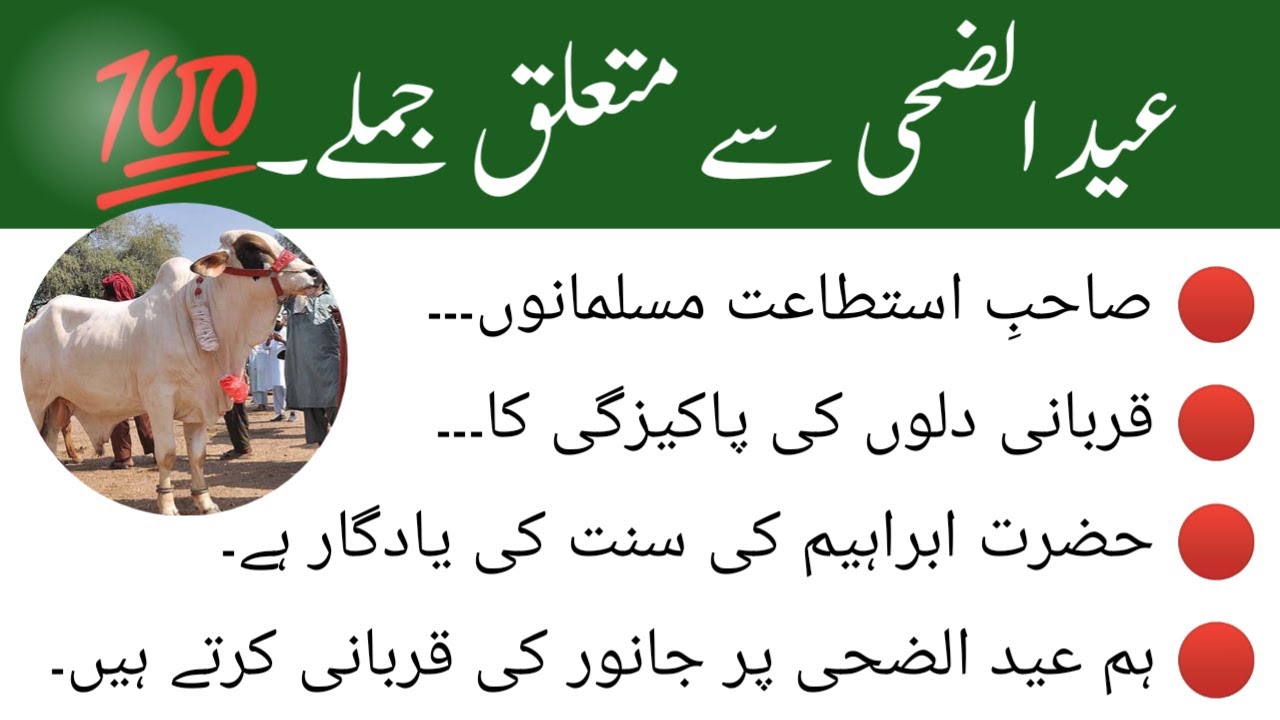 Eid-Ul-Adha Related Words and Sentences || عیدالضحی سے متعلق جملے - English Seekhain