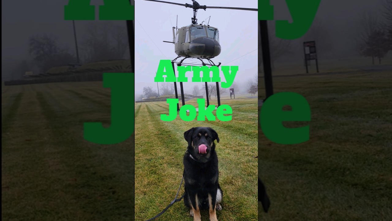 All Pilots Know This! Joke Time With Boomer The Dog 171 - SHORT #dog #shorts #army