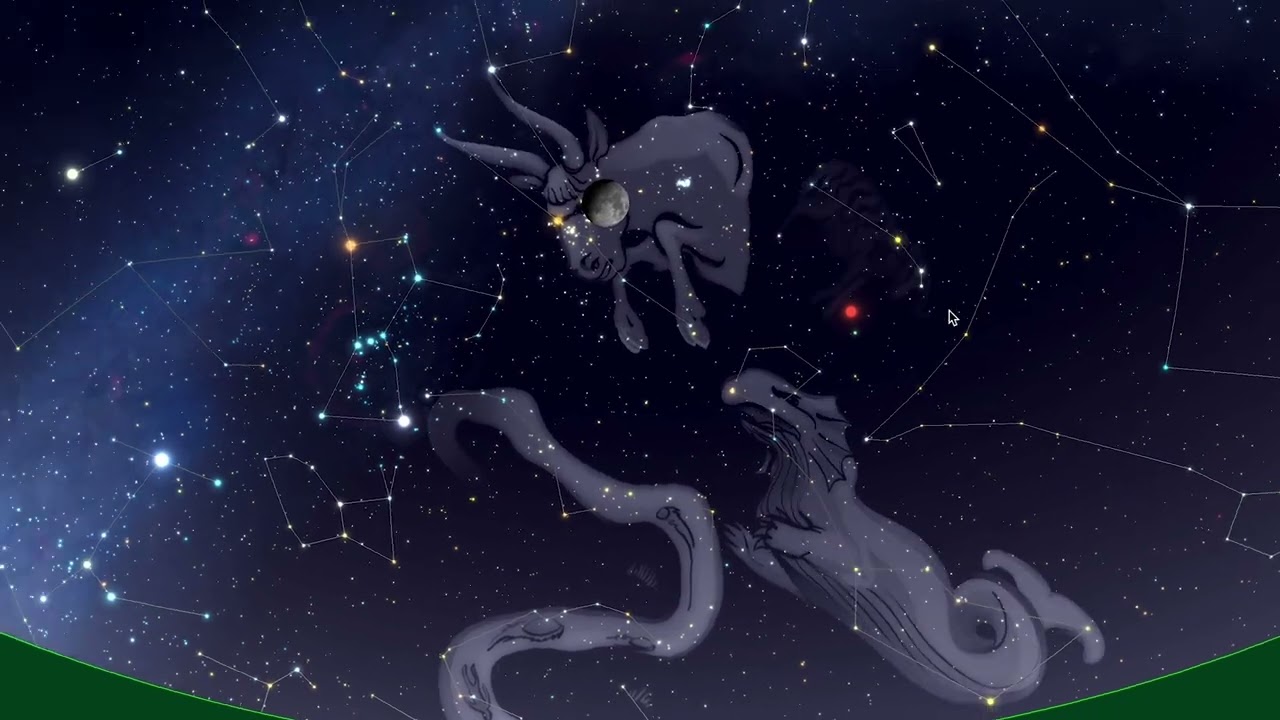The Winter Night Sky