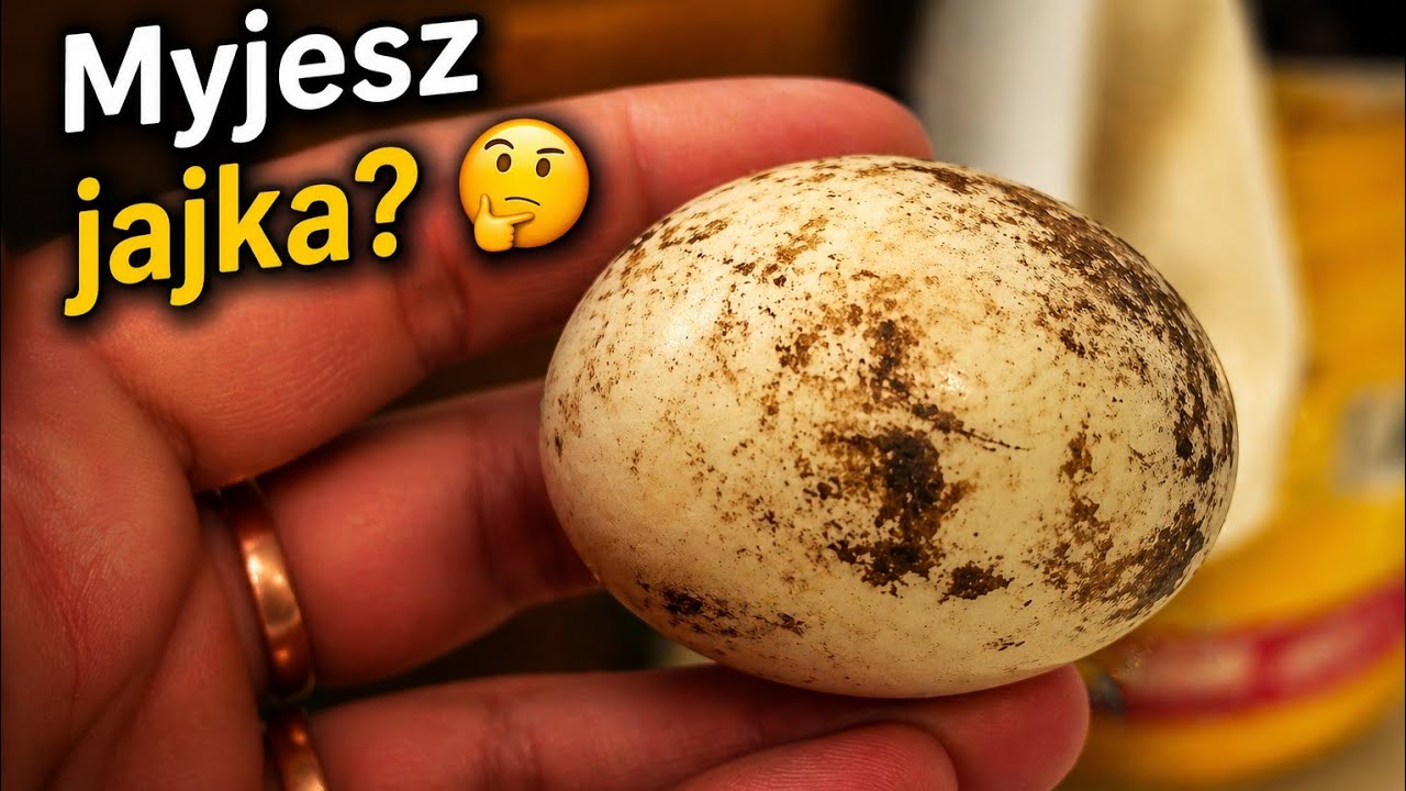 Myjesz jajka ? 🤔🙃