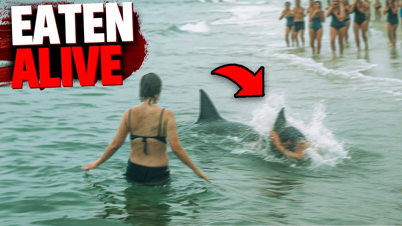 These 3 People Were RIPPED APART By Deadly Sharks!