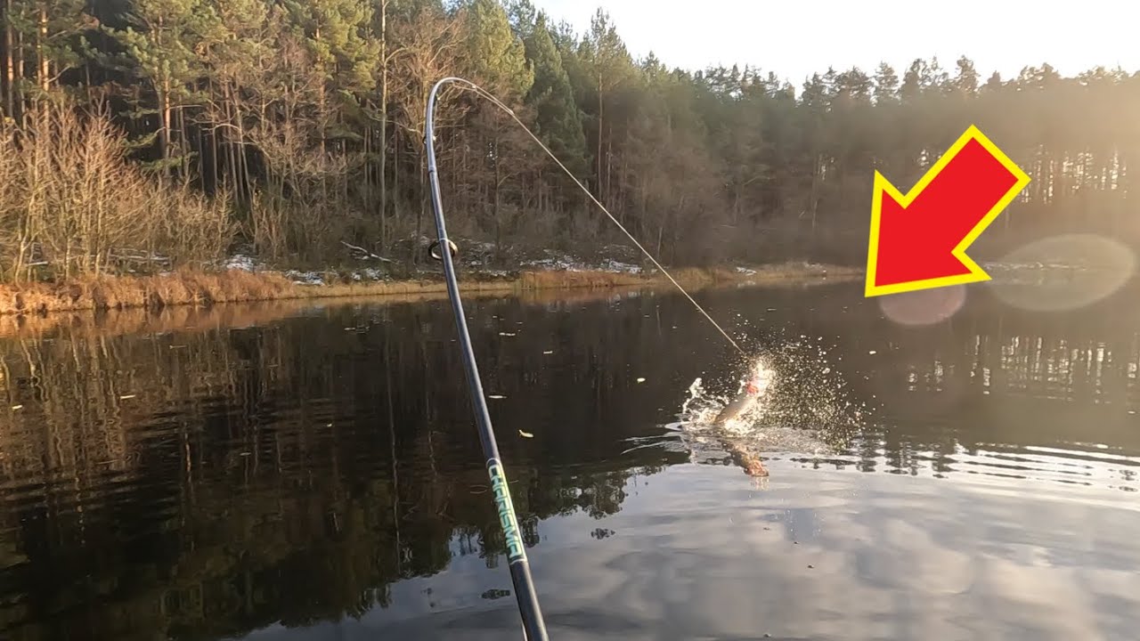 ALE BRAŁY! | Ostatnie SZCZUPAKI 2023