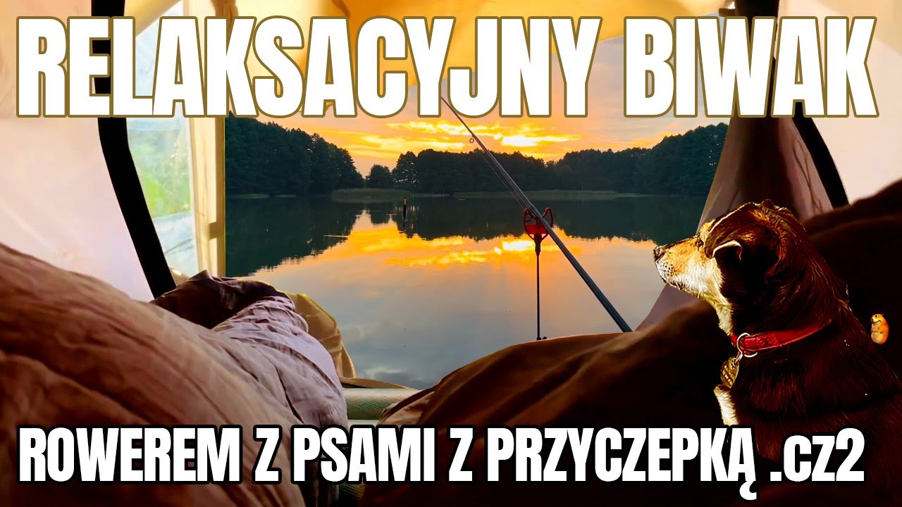 Relaksacyjny biwak na Mazurach. Rowerem z psami. Część druga.