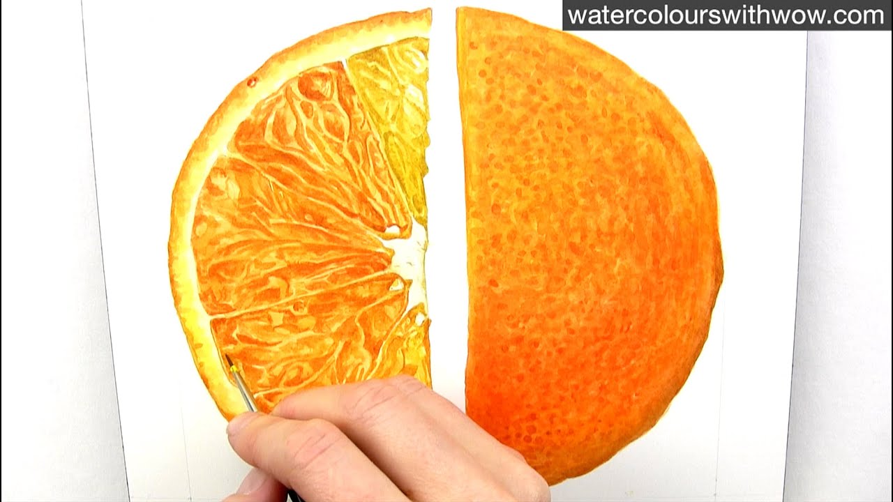How to paint a realistic juicy orange slice in watercolour with Anna Mason