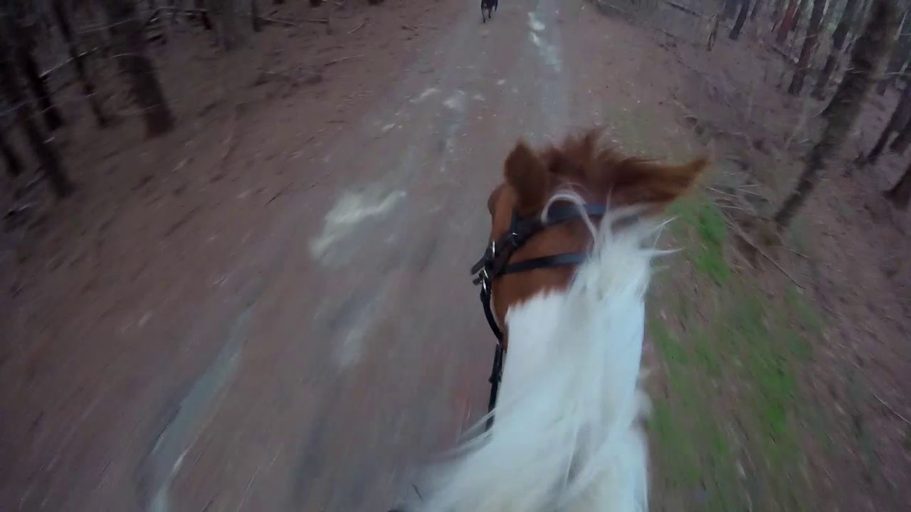 GoPro trail ride on 3.25.17