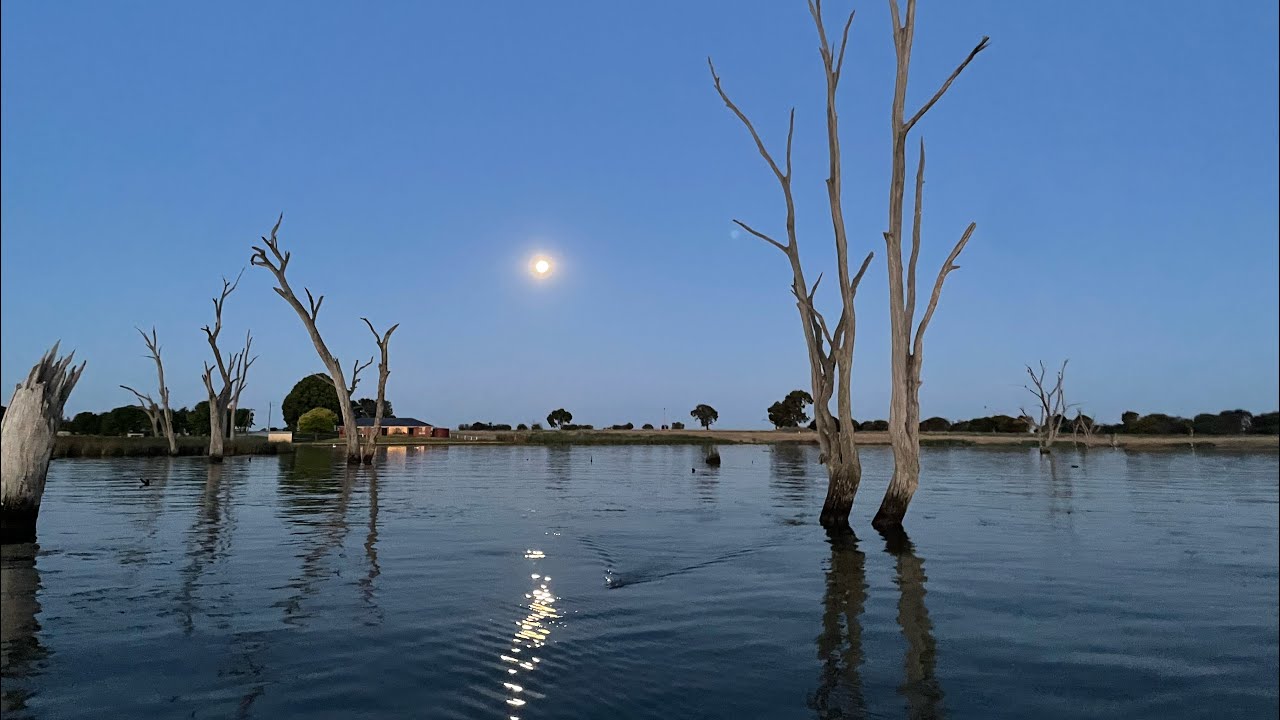 2026 Dash for Cash Lake Mulwala with WildmanTheFisherman15/02/2026