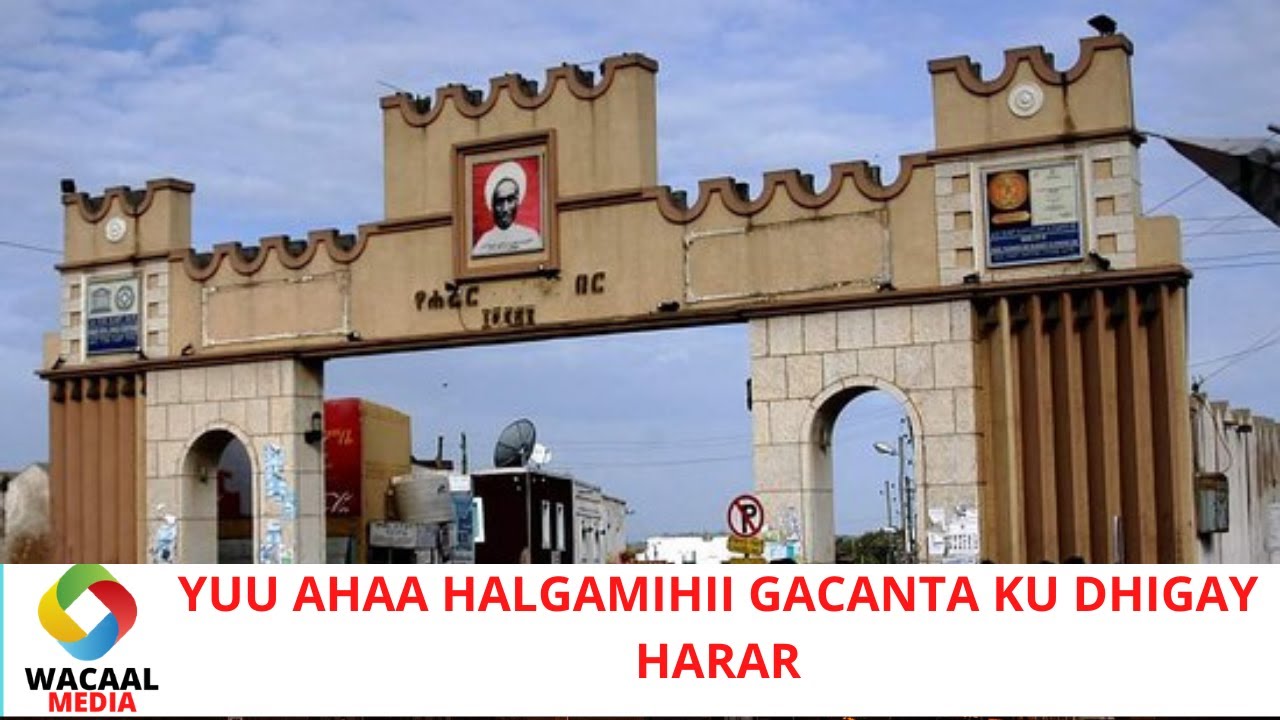WAA KUMA NIN SOOMALIGA AHAA EE HARAR DARBIGA KU WAREEJIYEY