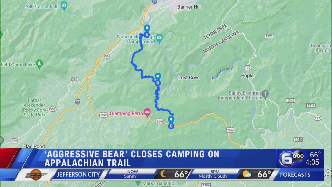 Aggressive bear' closes camping on Appalachian Trail