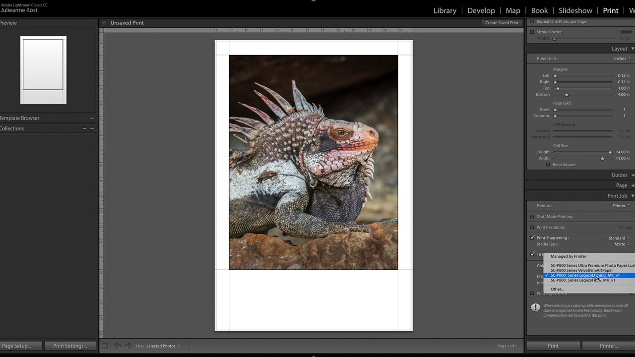 How to Print from Lightroom Classic by Julieanne Kost I Episode 5