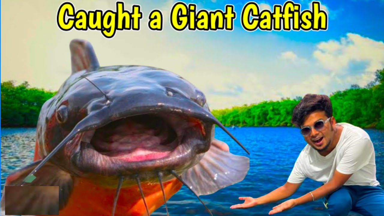 Giant Catfish or Magur caught??😳🔥 | Jakoi Fishing | Fishing in Assam Rivers | Cast Net Fishing