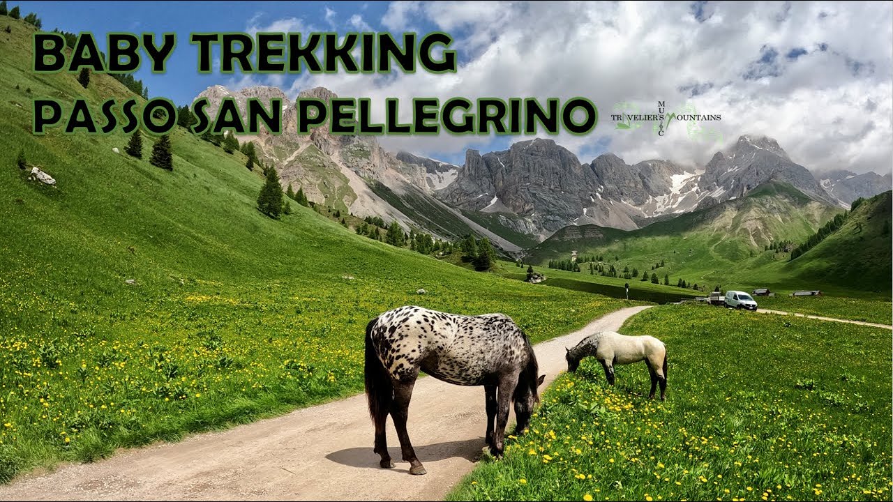 Baby Trekking ( Rifugio Fuciade - Passo San Pellegrino )