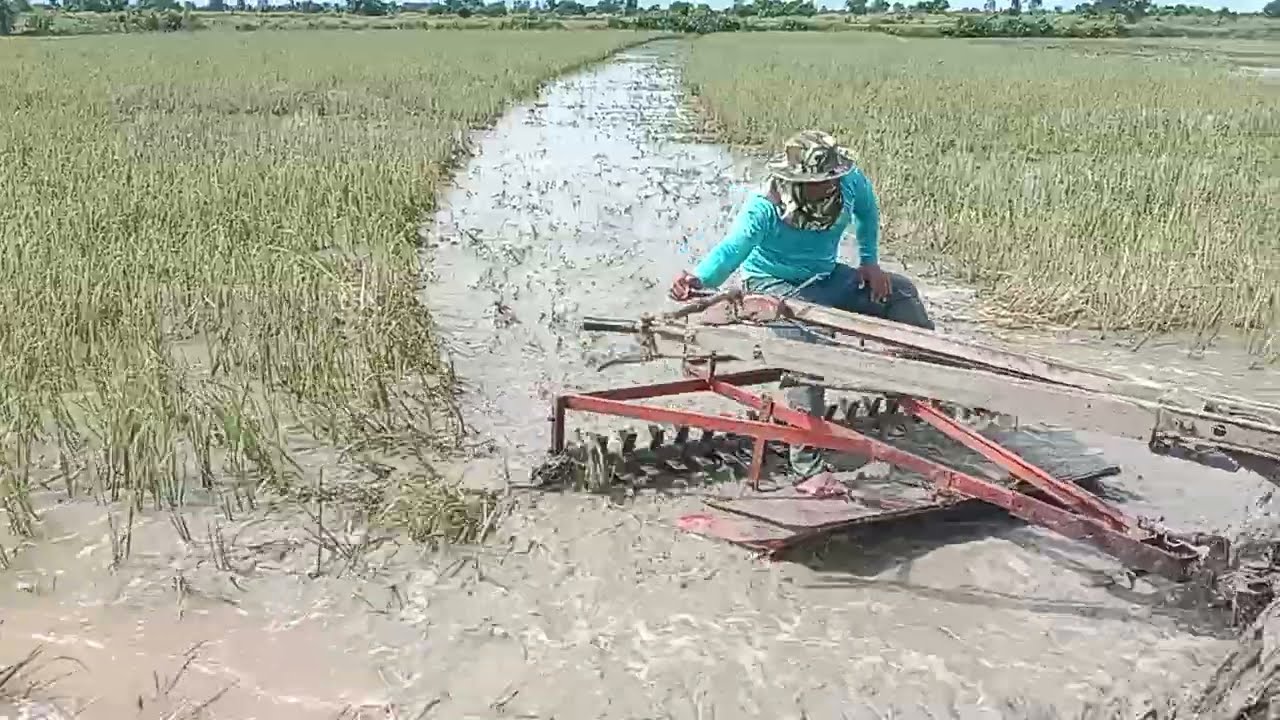 មានលក់អង្គប់វាយដី