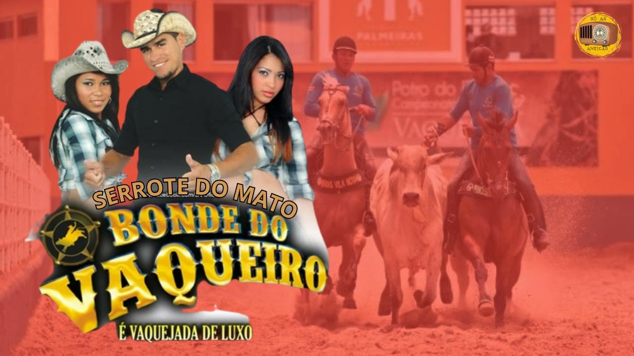 BONDE DO VAQUEIRO EM SERROTE DO MATO 2014