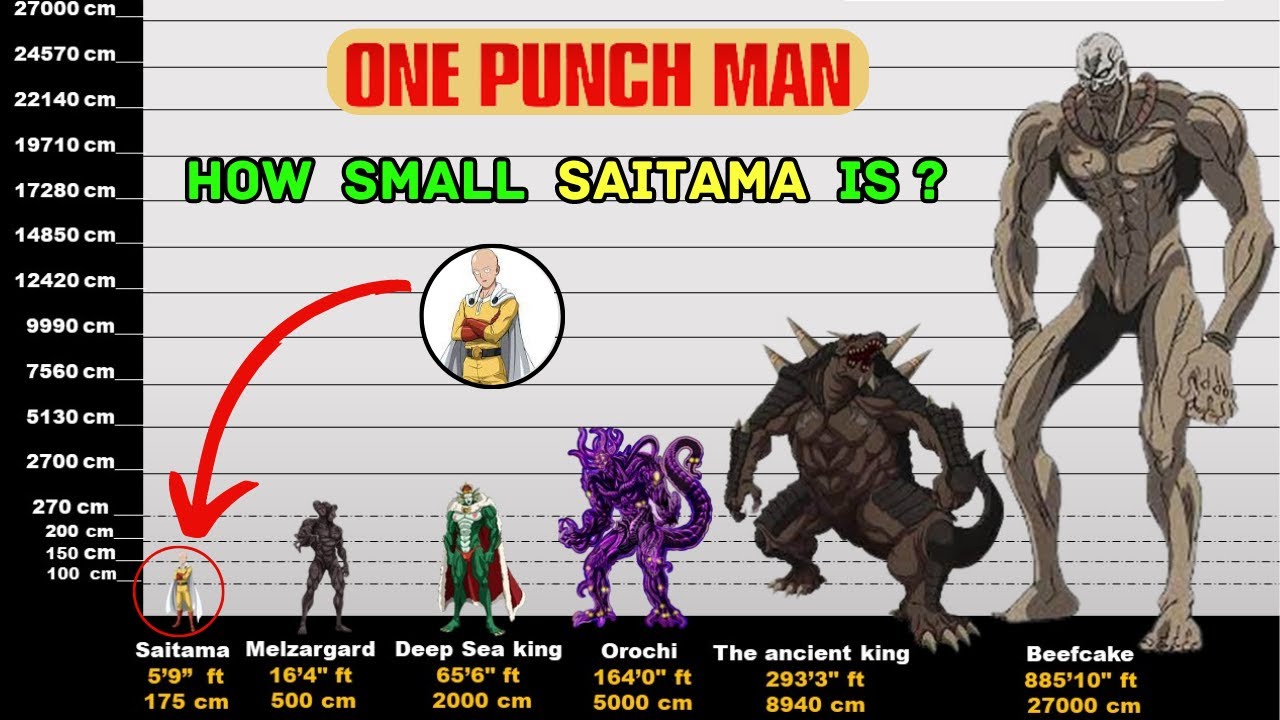 40+ OPM Characters Height Comparison 2023 (Orochi Included....)