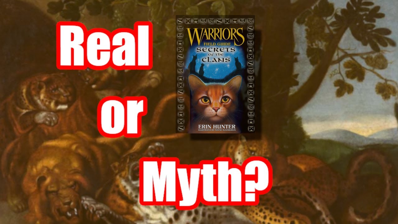 The Mystery of LionClan, TigerClan and LeopardClan - Warrior Cats Analysis