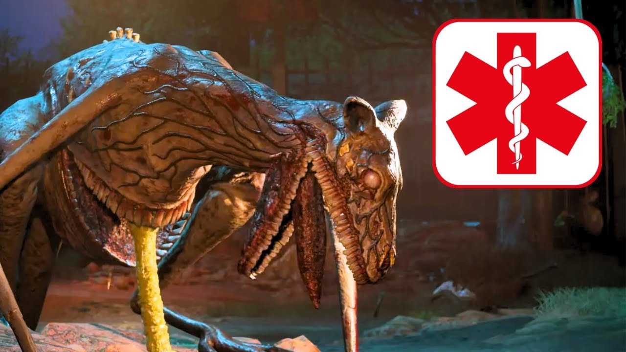 Two Ways to CURE A Mutated Animal | Zoochosis