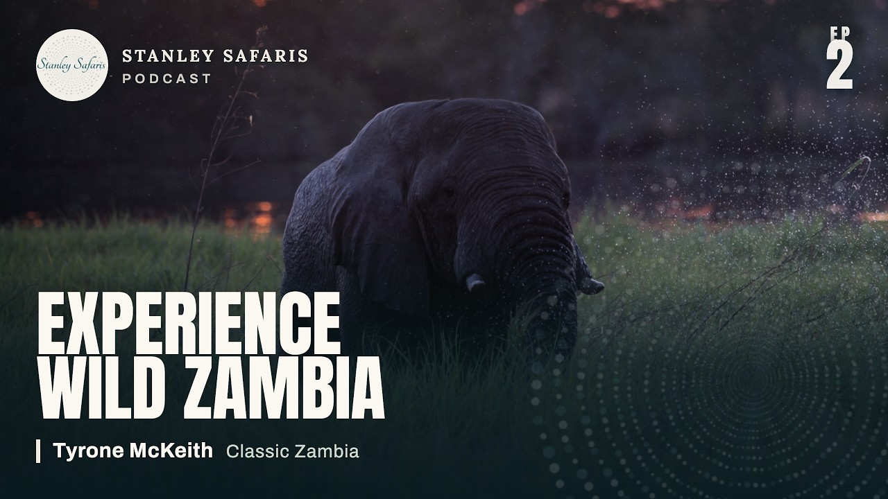 We walk through safaris in Zambia with Tyrone McKeith from Classic Zambia! @ClassicZambia