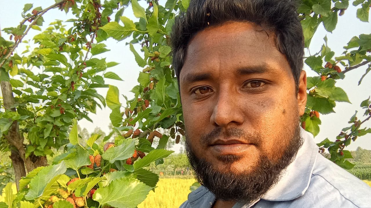 চলুন আমাদের ভুল ত্রুটি দেখে আসি