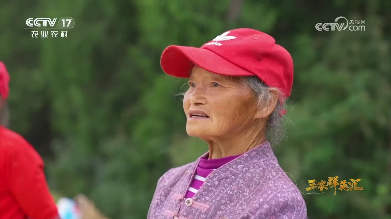 《三农群英汇》 20260407 稻香人生 | 农业致富经 Agriculture And Farming