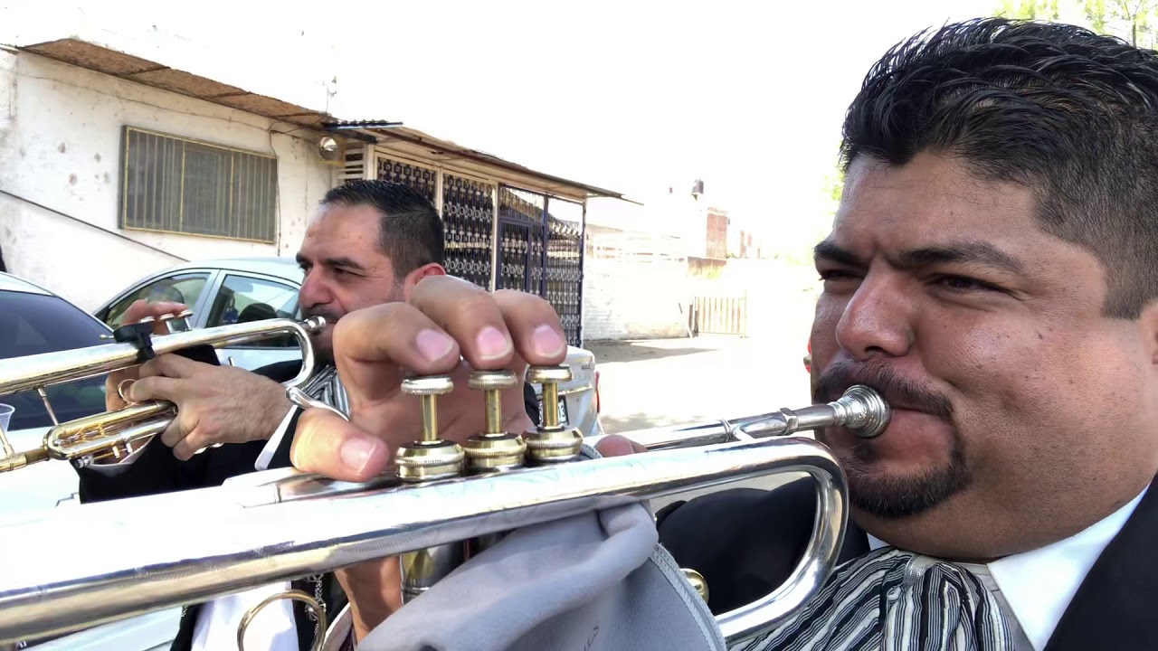 El rey