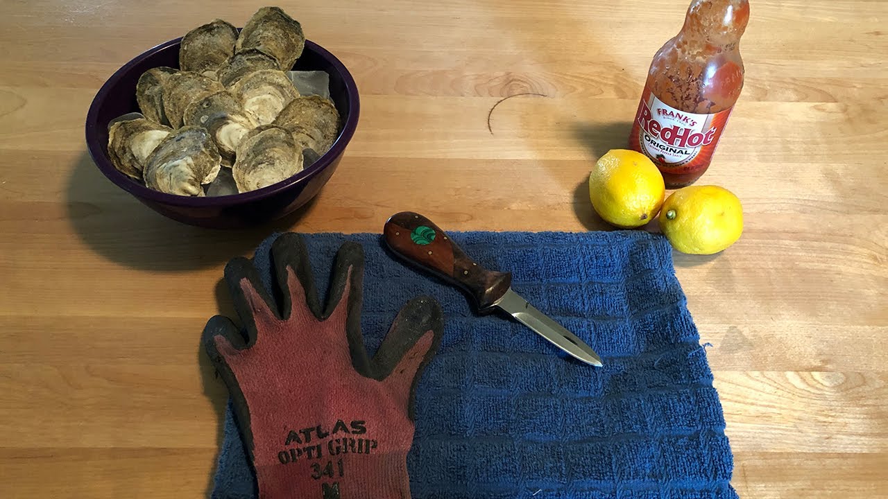 🦪 Shuck At Home - Episode 1: How to shuck an oyster