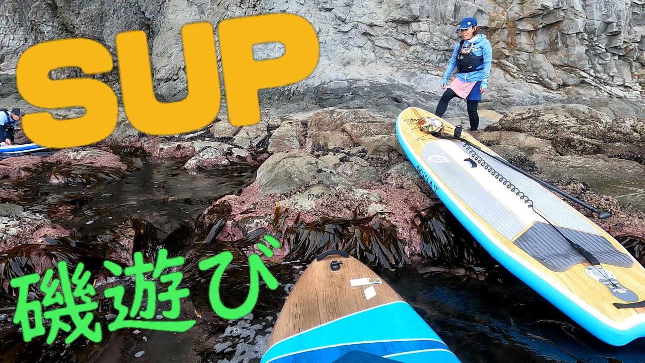 【海SUP】洞窟巡りもいいけど、磯遊びも楽しいよ♪海の生物を探してみよう♪