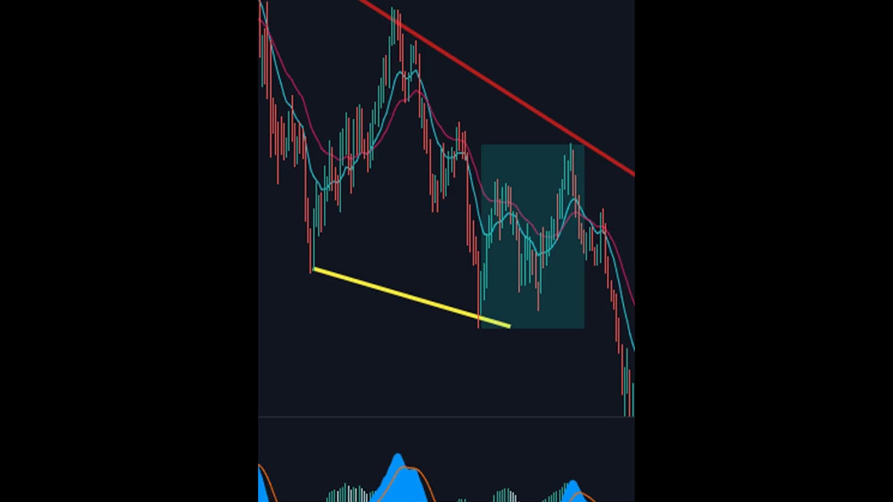 Things about MACD Indicator that You Might Not Know!