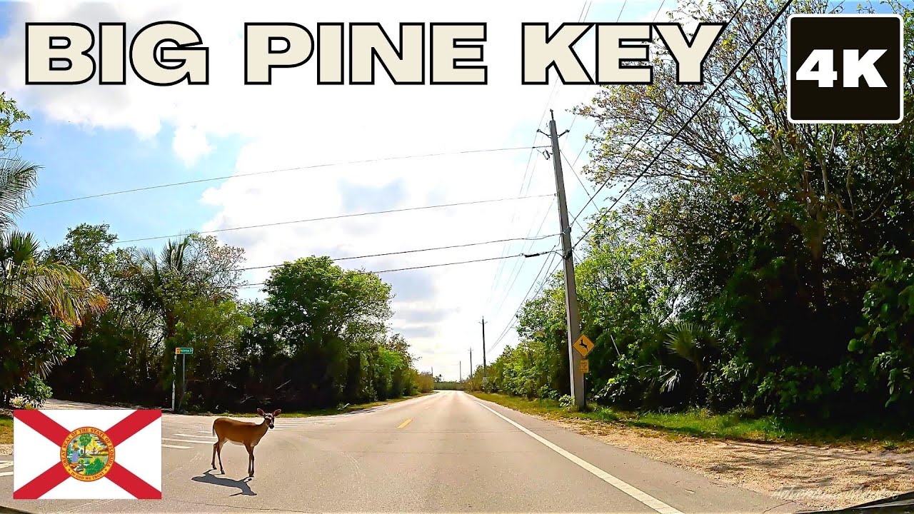 Big Pine Key 4K scenic drive | Florida Keys (Key deer habitat)