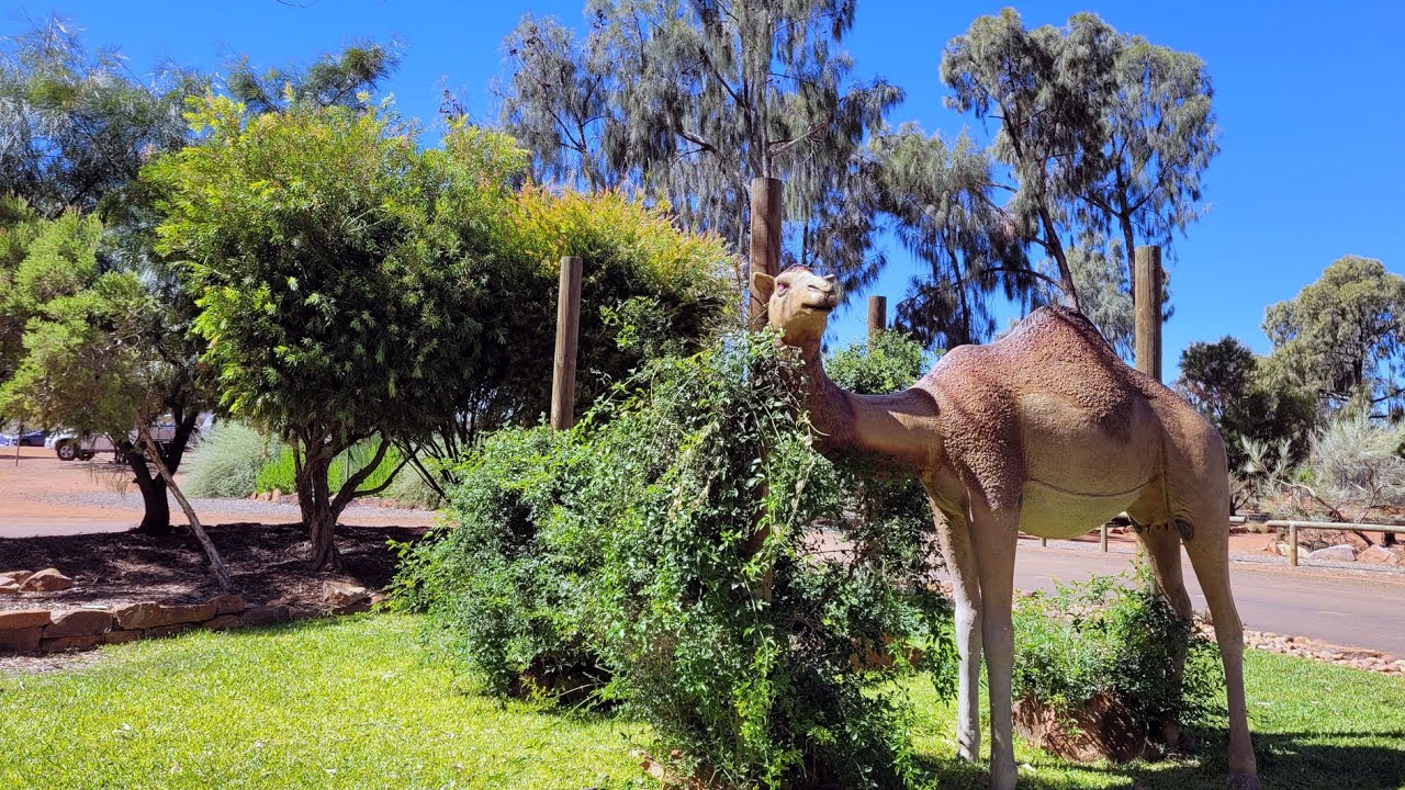 Ayers Rock Campground