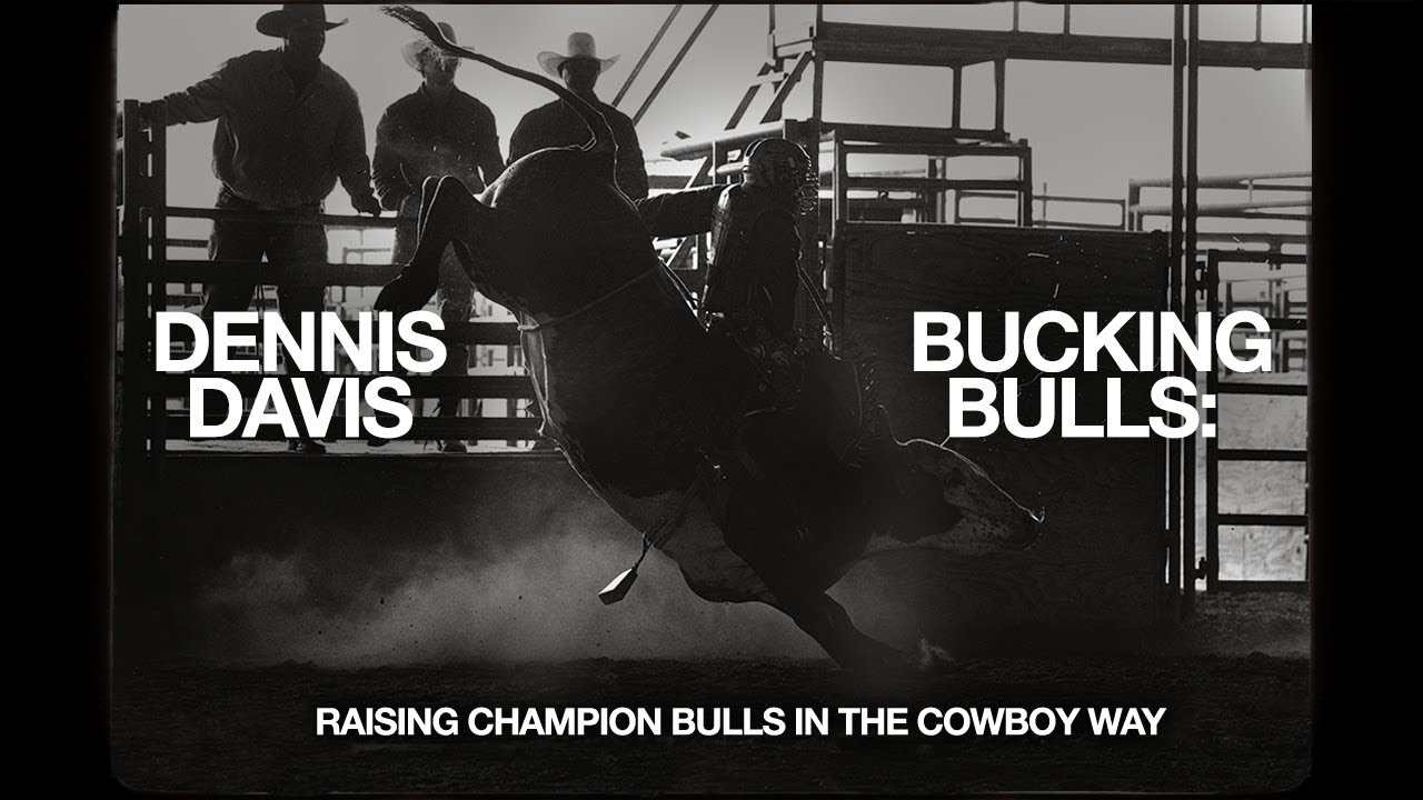 Raising Champion Animal Athletes | Dennis Davis Bucking Bulls