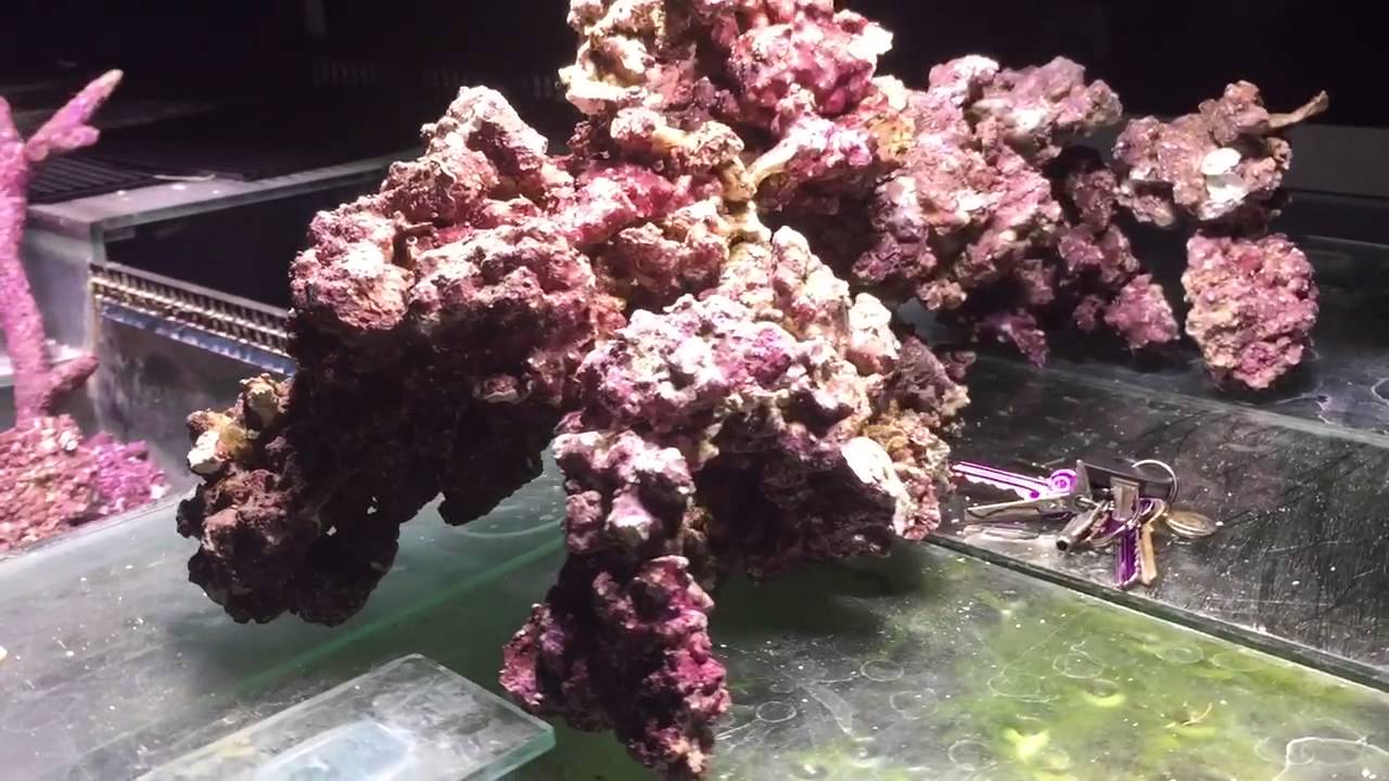 This is what 6kg of Real reef rock looks like