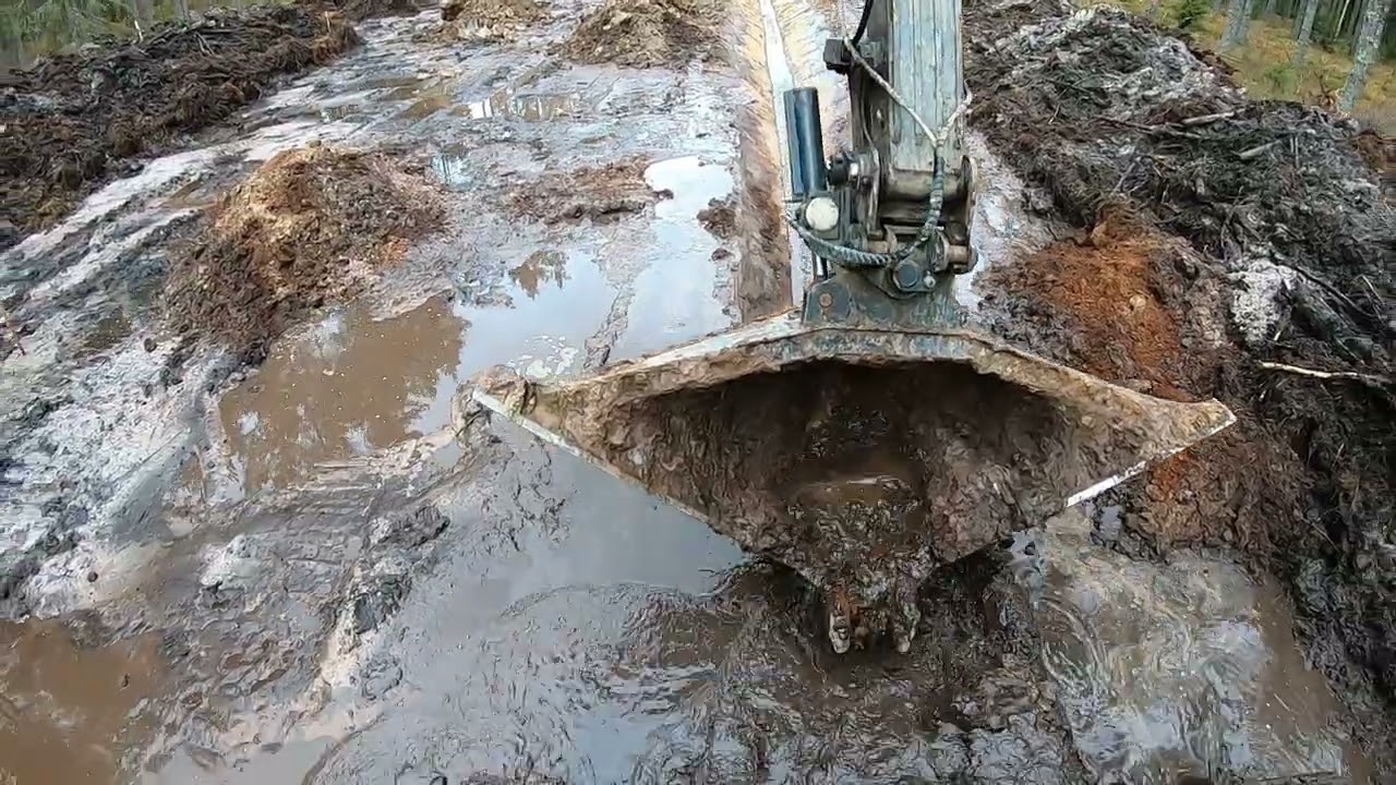 Кадры с лесных работ — Часть 9