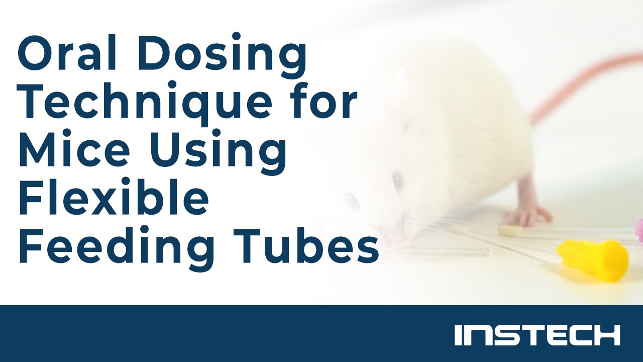 Oral Dosing Technique for Mice Using Flexible Feeding Tubes