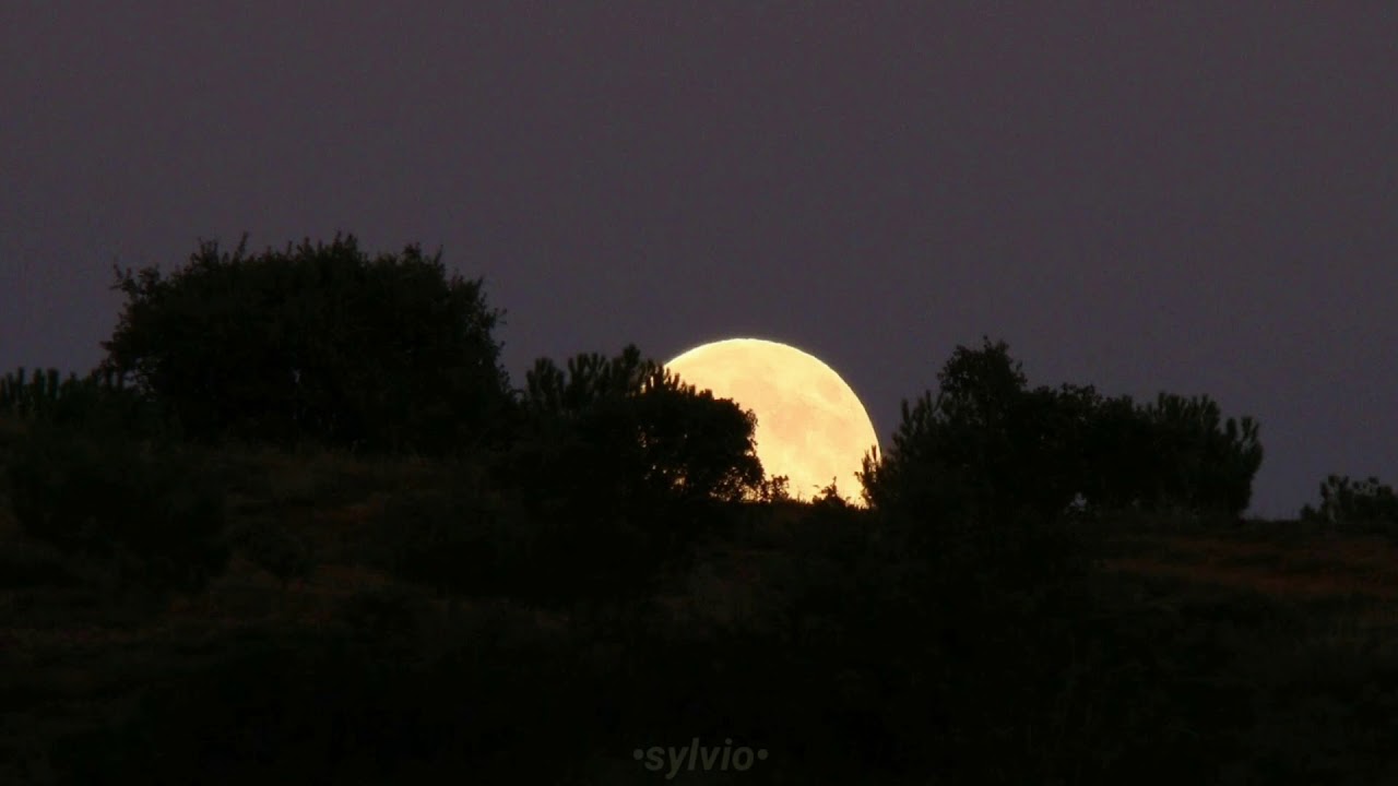 Simón Díaz - Tonada De Luna Llena ~letra~