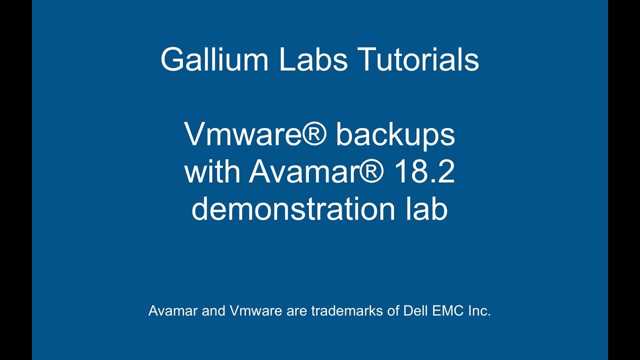 Vmware backups with Avamar