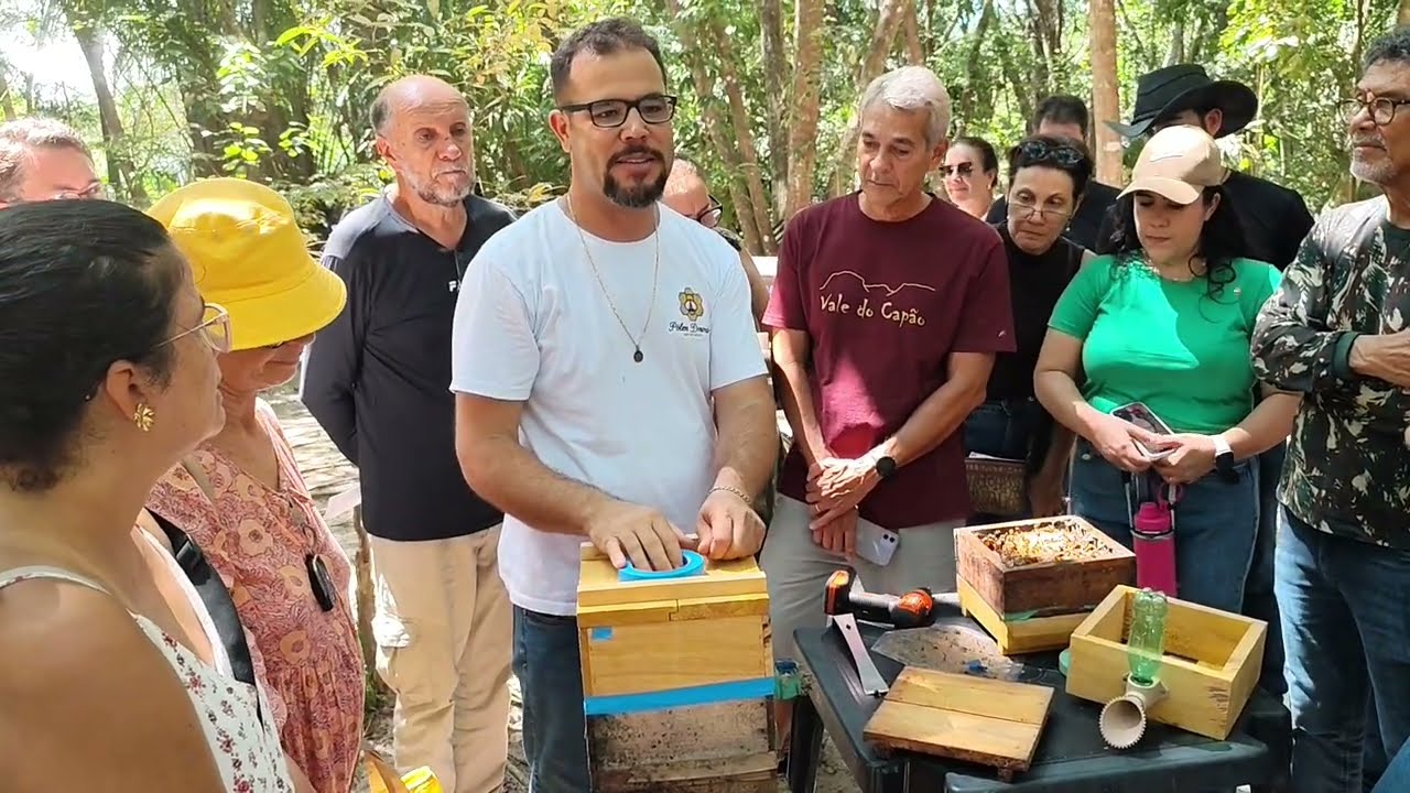 PRÁTICAS EM MELIPONICUTORA @Polendourado 