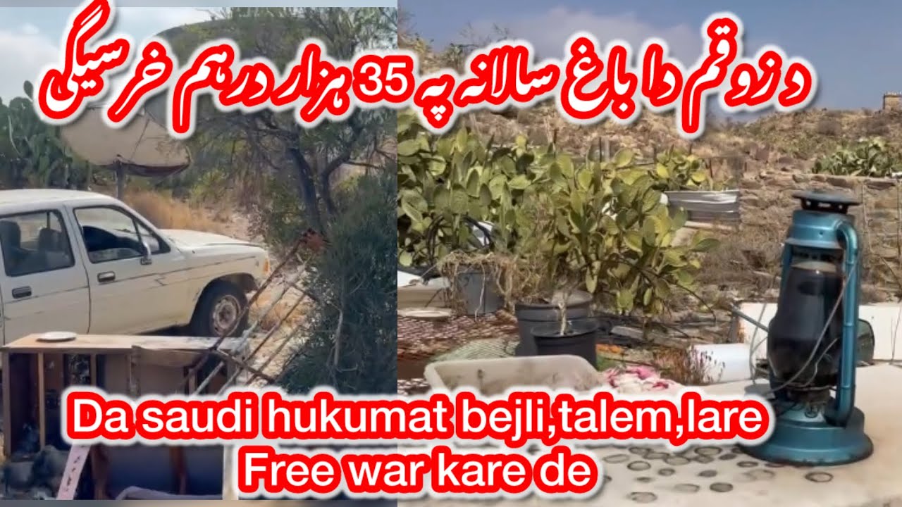 د زوقم دا باغ سالانہ پہ 35 ہزار درہم خرسیگی ۔ پہ دے شڑہ کے حکومت مدرسہ، بجلی،انٹرنیٹ ، سڑکونہ