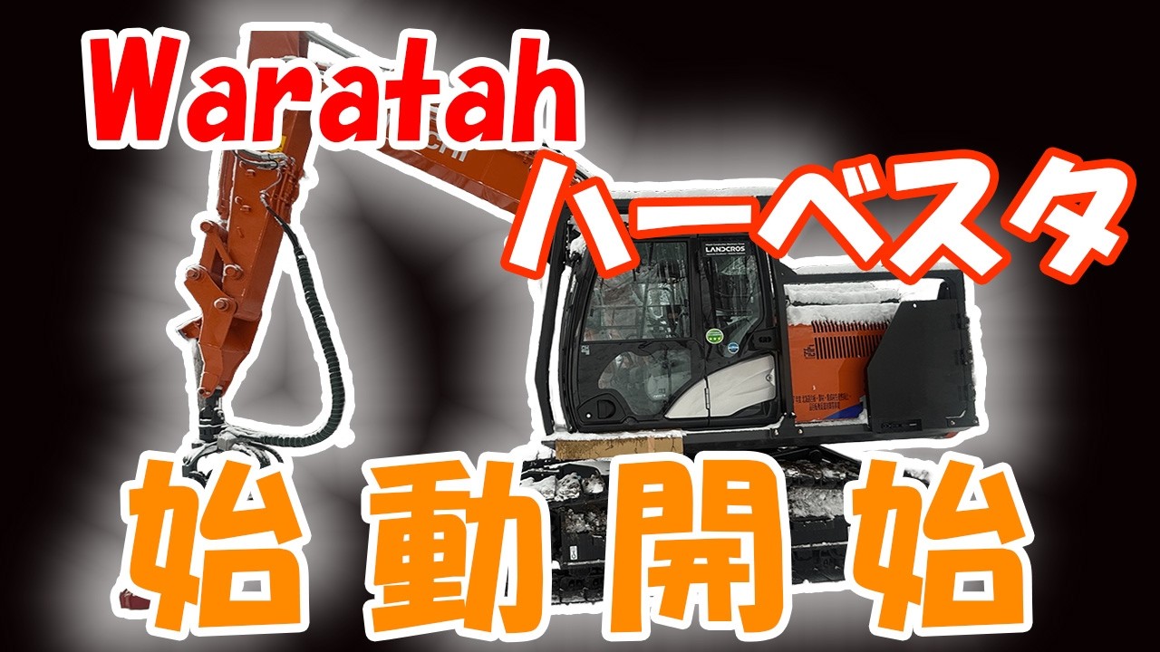 Waratah　始動開始しました！
