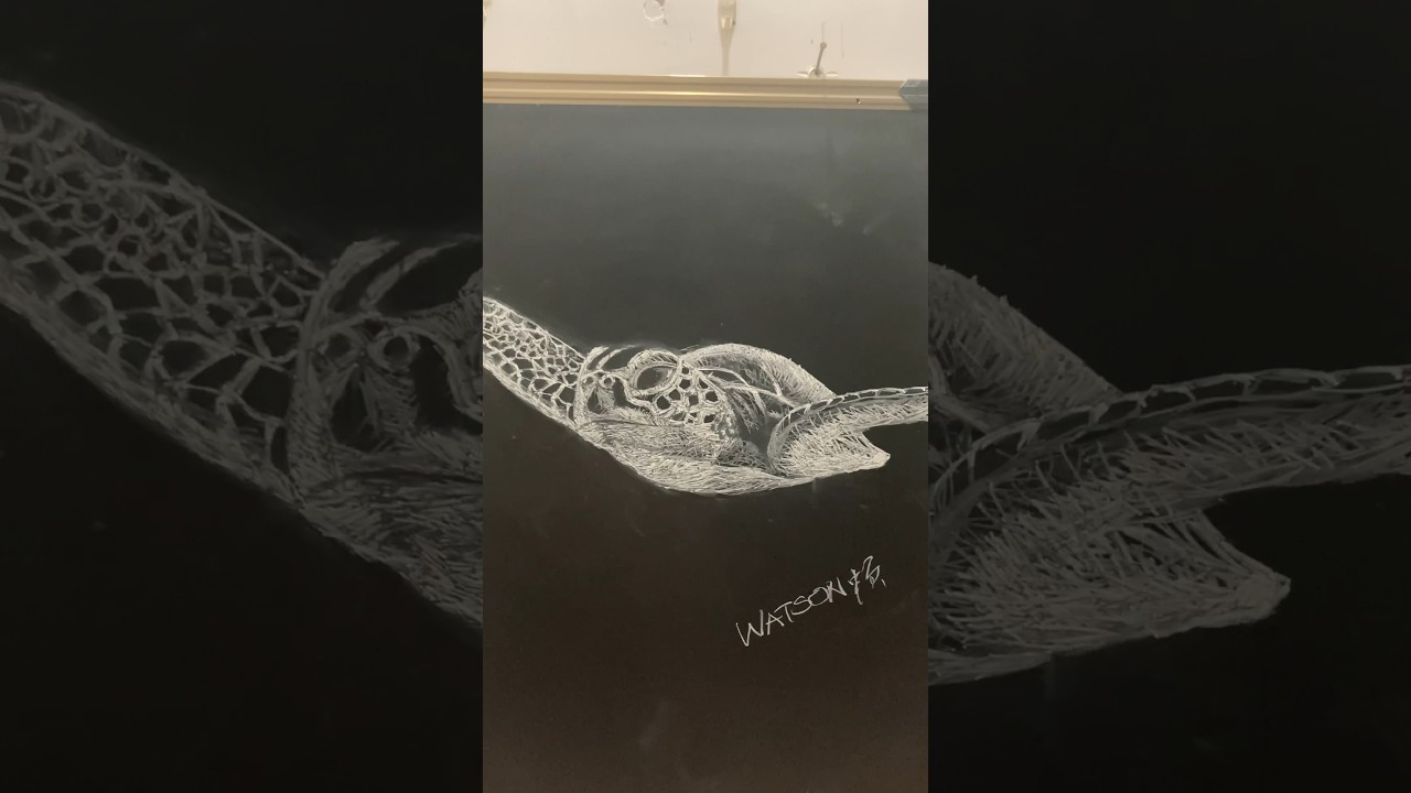 Swimming 