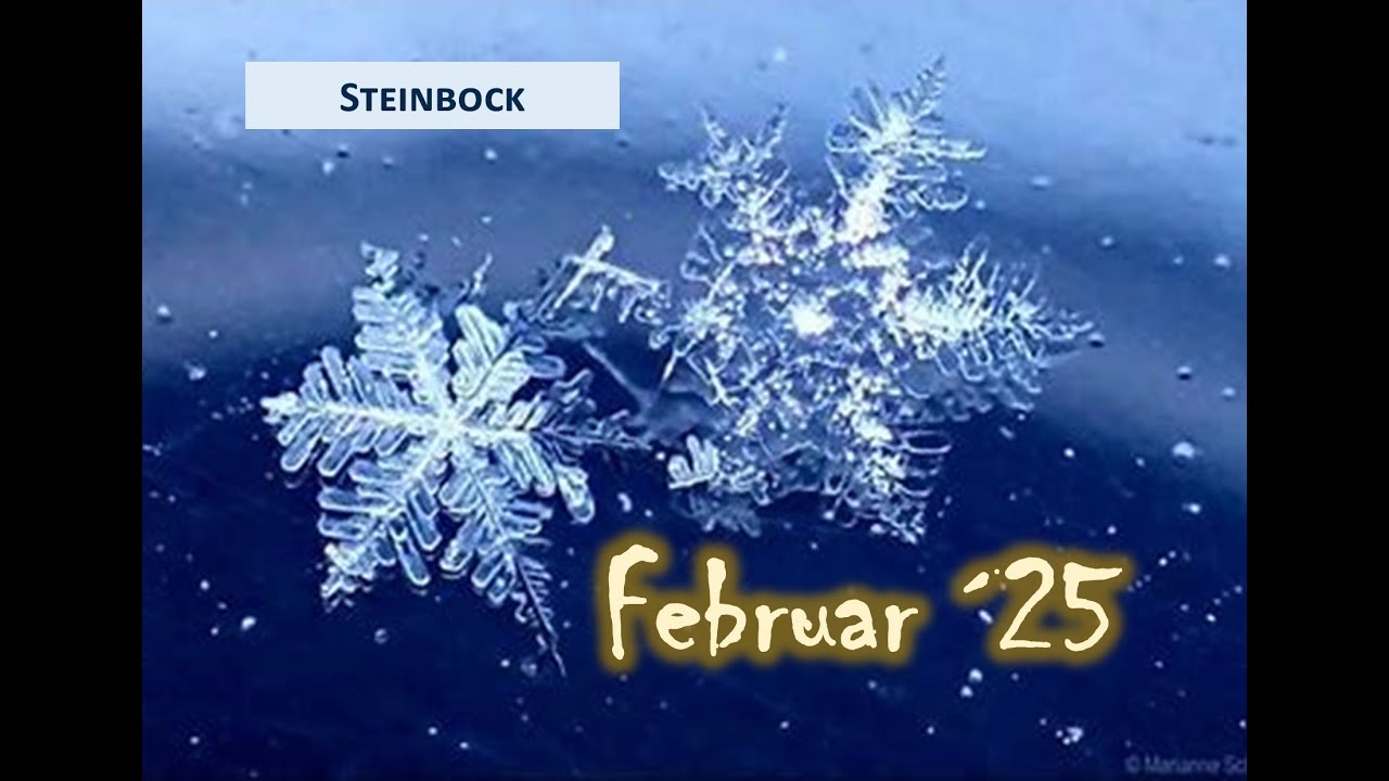 STEINBOCK♑ - Februar 2025🎭