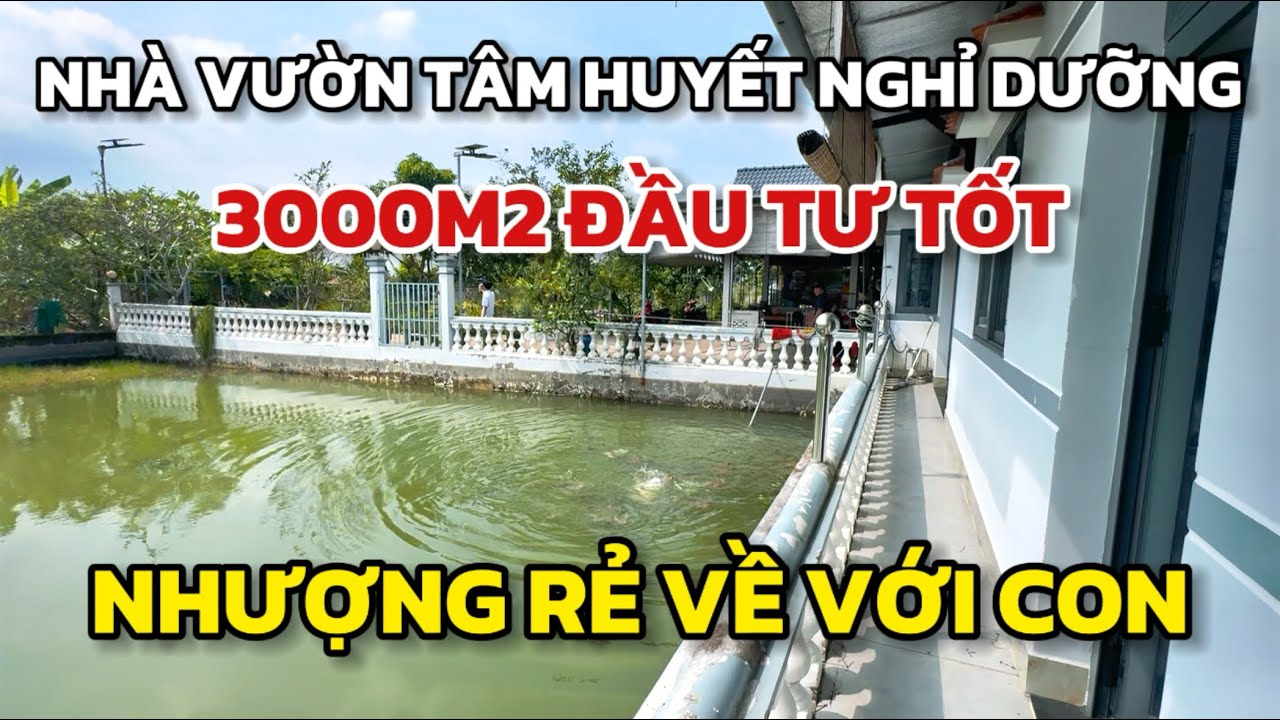Nhà vườn đầu tư tâm huyết nghỉ dưỡng rộng 3000m2 lên đất thổ, giá rẻ nhanh lẹ, chợ Bình Chánh +7km
