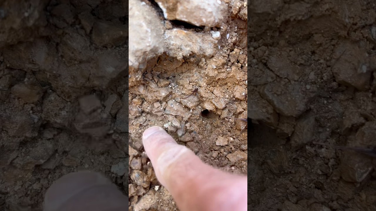 Is That A SCEPTER Crystal?! 🤯 #crystals #crystal #mining #rockhounding