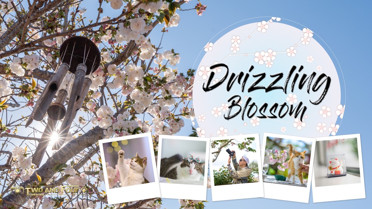 Drizzling Blossom - Welcoming Spring